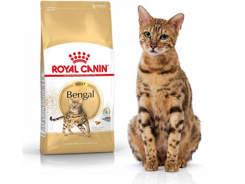 40 Off Royal Canin 10kg For Bengals Pet Supplies For Cats Cat
