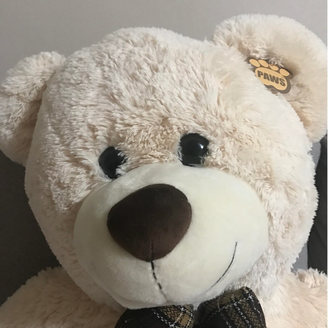 big teddy bear at low price