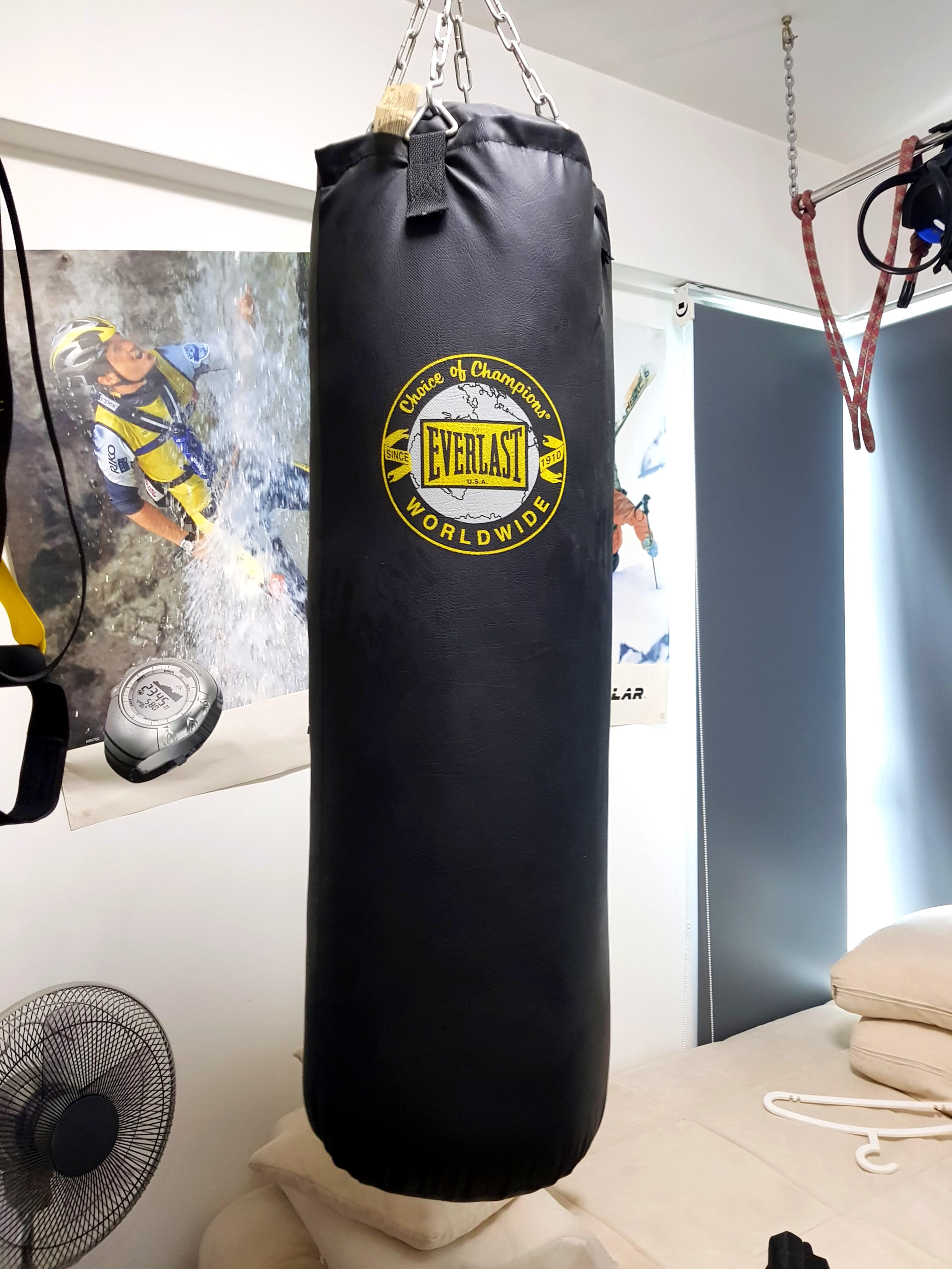 Everlast worldwide punching bag top