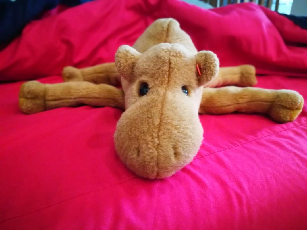 humphrey beanie baby value