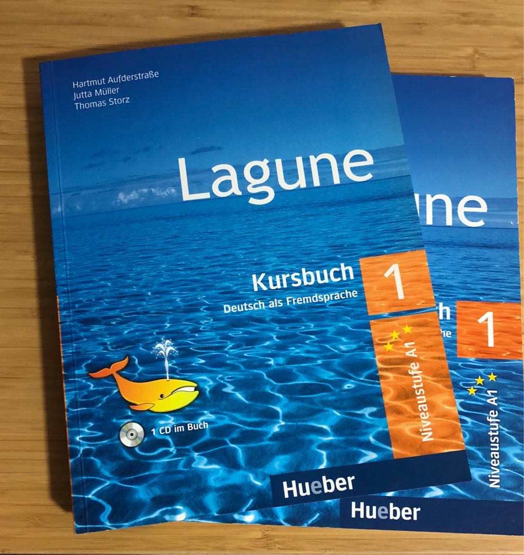 German Language Lagune 1 Level A1 Textbook Hobbies Toys Books 