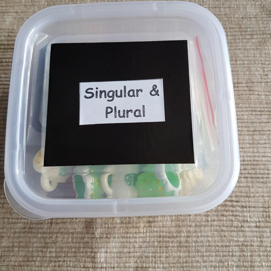 MONTESSORI BASIC GRAMMAR KIT SINGULAR & PLURAL BOX, Hobbies & Toys