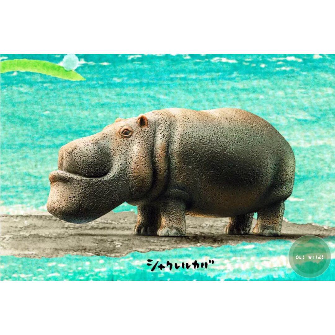 戽斗動物園厚道星球第4彈Shakurel Planet (全套6款) 扭蛋, 興趣及遊戲, 玩具& 遊戲類- Carousell