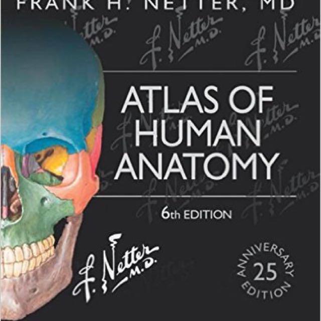 Atlas Of Human Anatomy (Frank H. Netter), Hobbies & Toys, Books