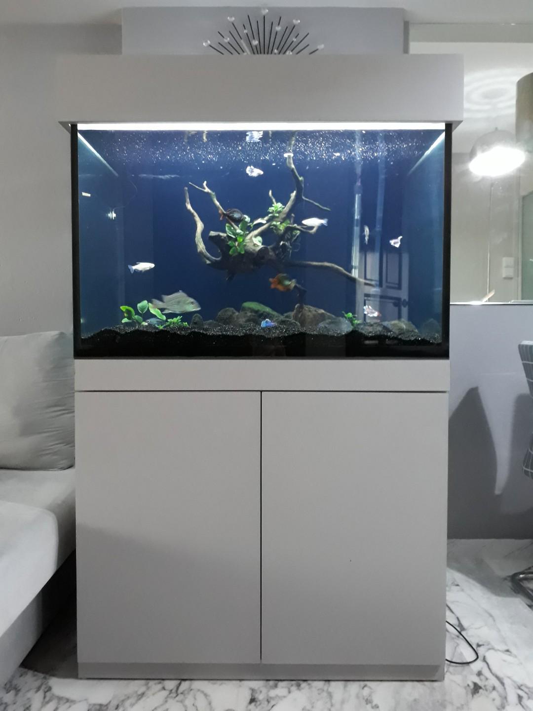 Customised Fish Tank (3ft x 2ft x2ft) c/w lighting, canister