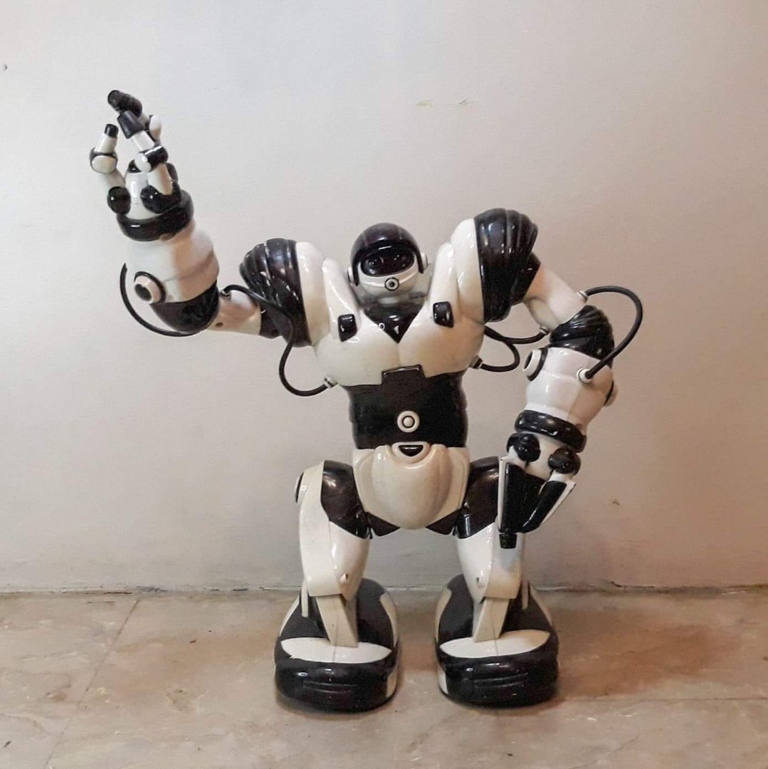 first robot toy
