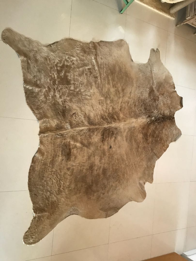 Ikea cow rug, Furniture & Home Living, Home Decor, Carpets, Mats