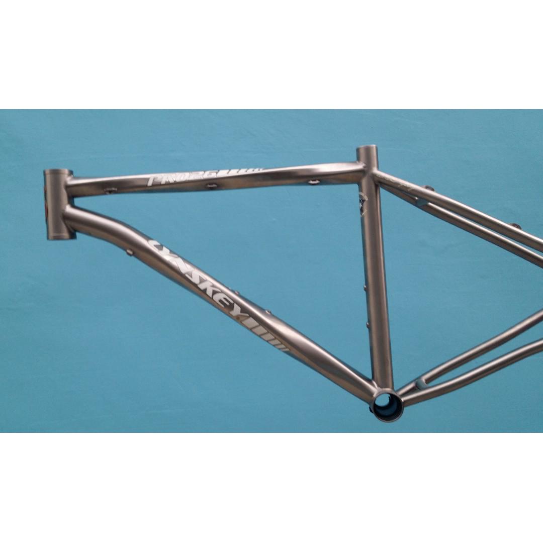 frame lynskey