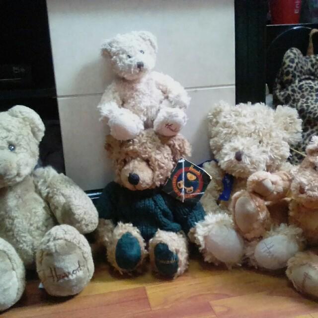hamleys 5 feet teddy bear