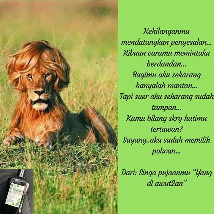 Iklan Shampoo Anti Hairloss Dan Anti Dandruff Komunitas Di Carousell