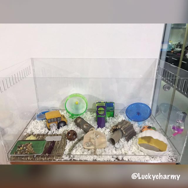 acrylic hamster cage
