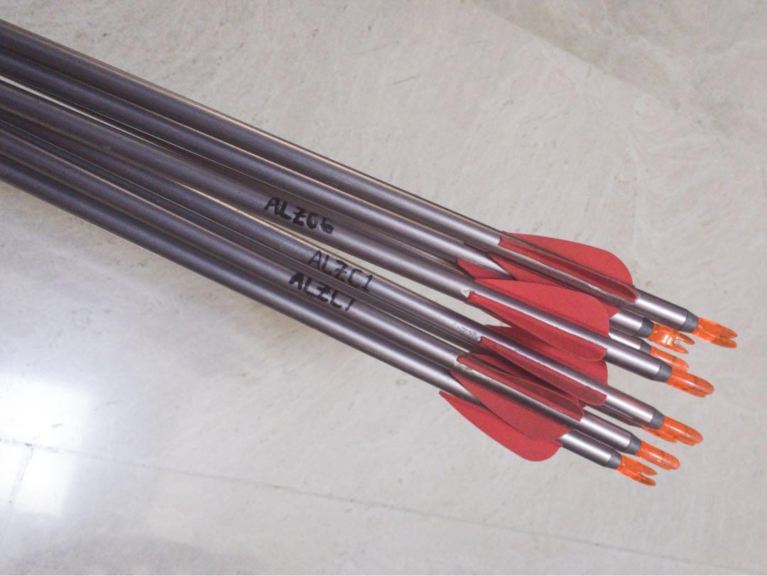 Easton XX75 Platinum Plus Arrows, Sports Equipment, Sports & Games