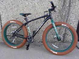 momentum fat tire bike