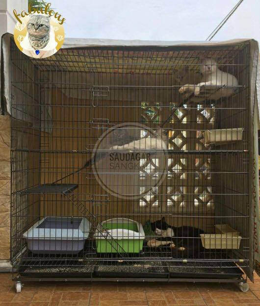 Sangkar Kucing Giant Pet Supplies Pet Accessories On Carousell