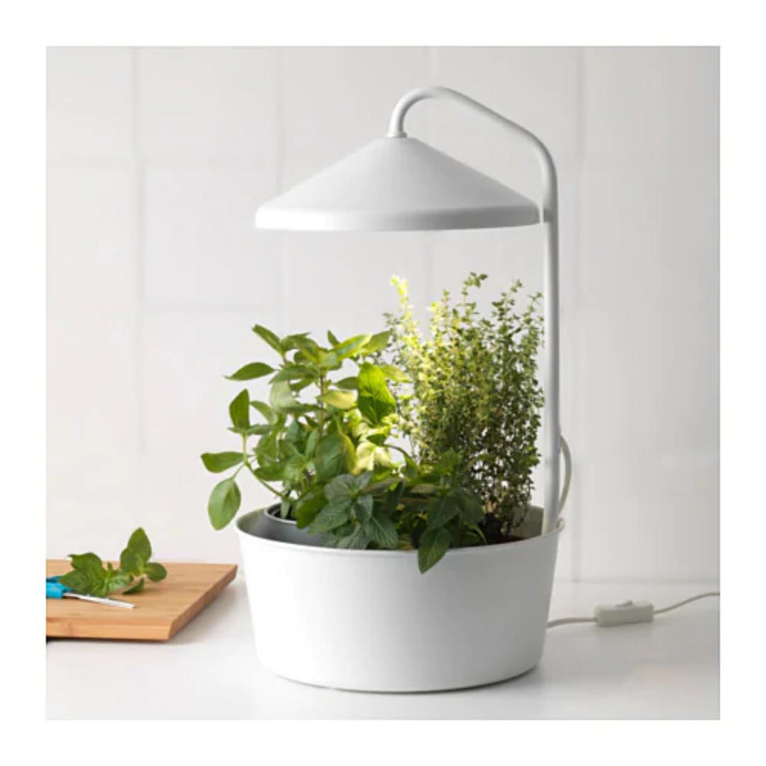Plant Holder Indoor Garden W Led Cultivation Bulb Ikea Bittergurka 4 Free Pots Gardening Pots Planters On Carousell