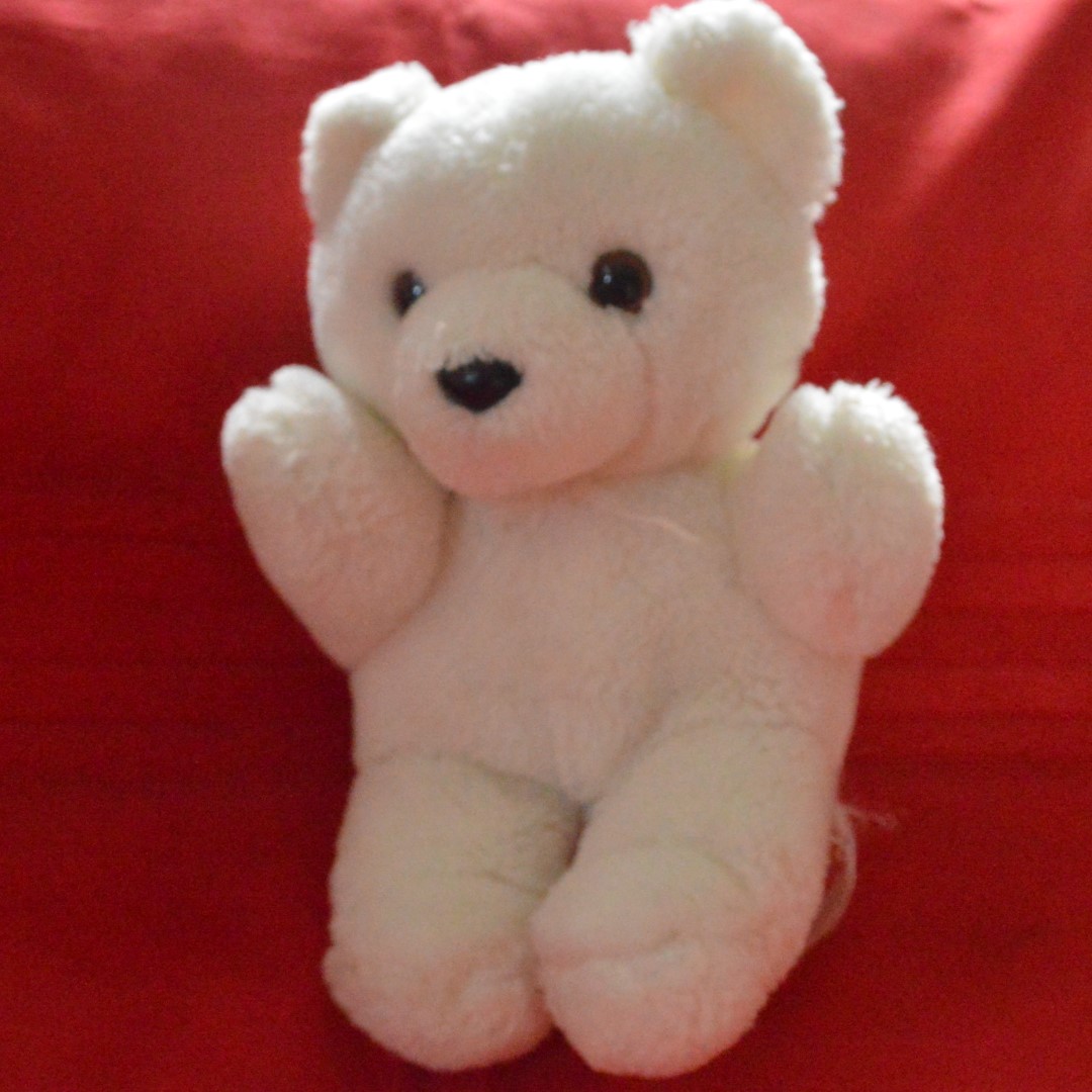 Small white stuffed shop bear