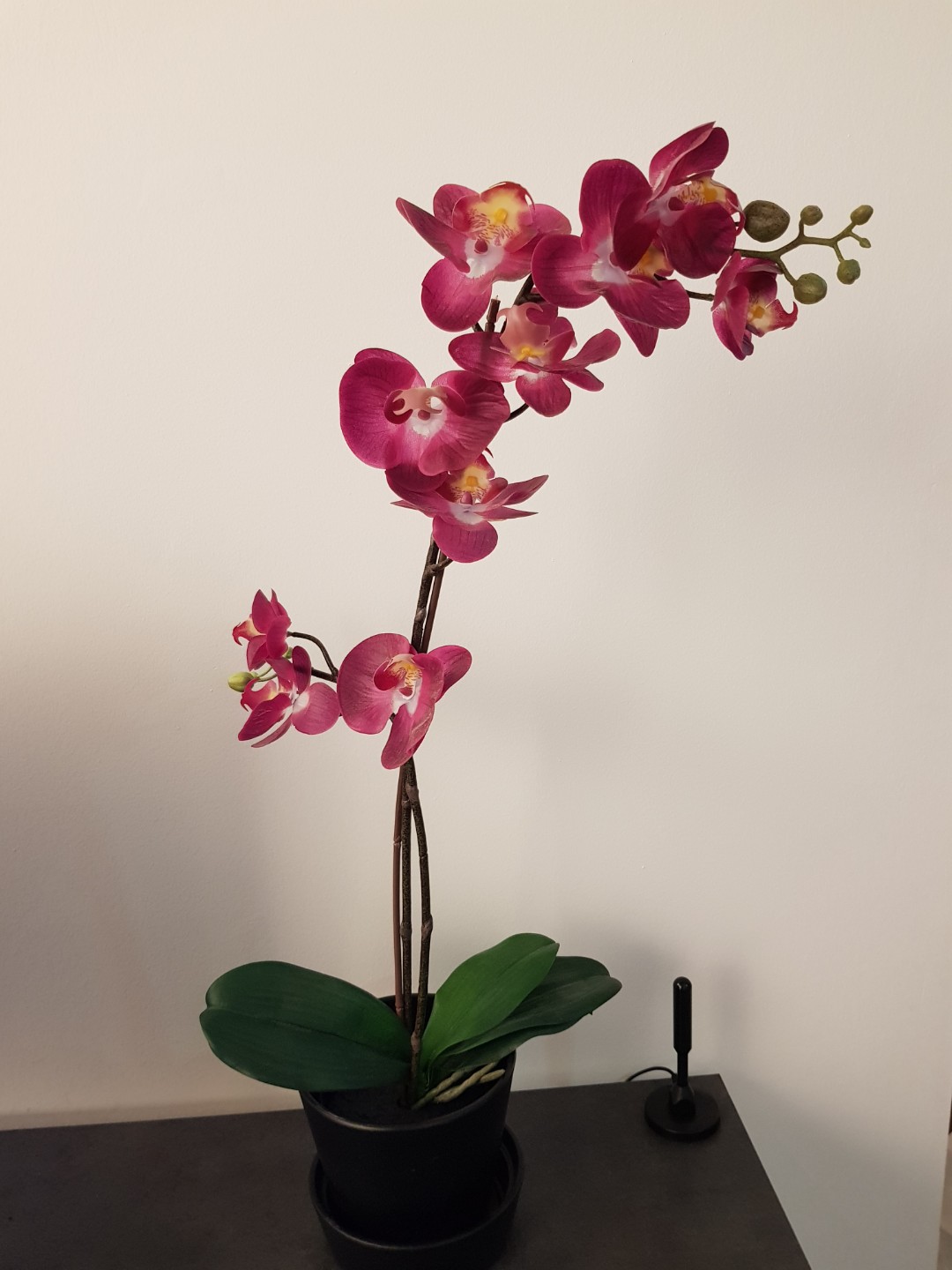 Plant Artificial Orchid Ikea Gardening Plants On Carousell