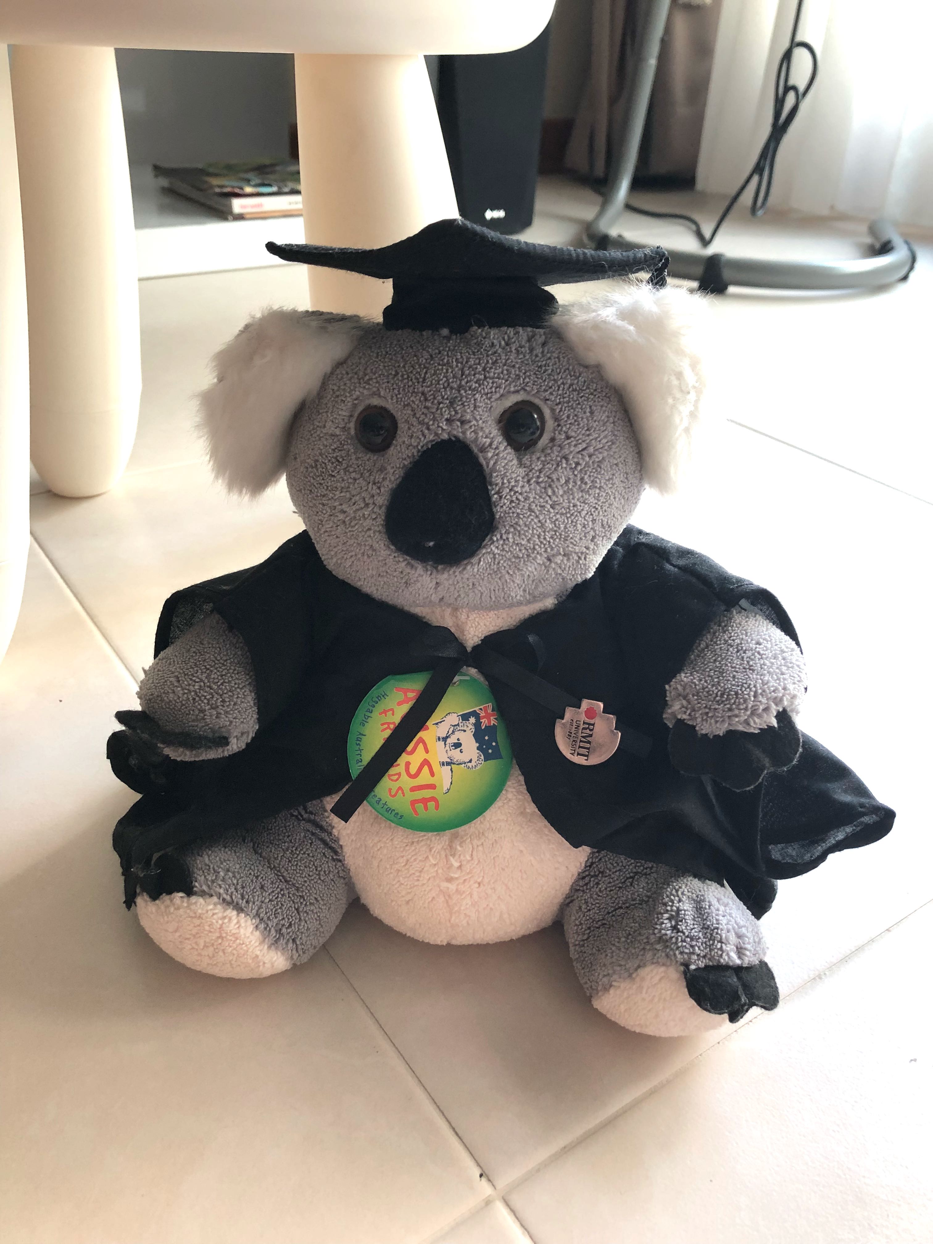 graduation memory bear