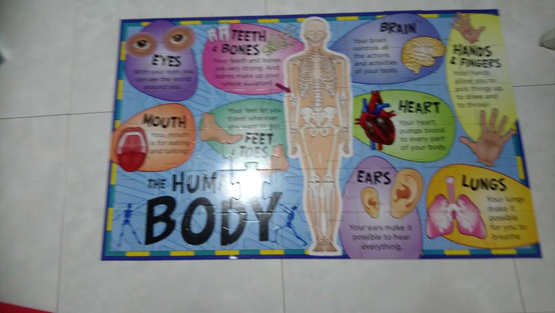 human body floor puzzle