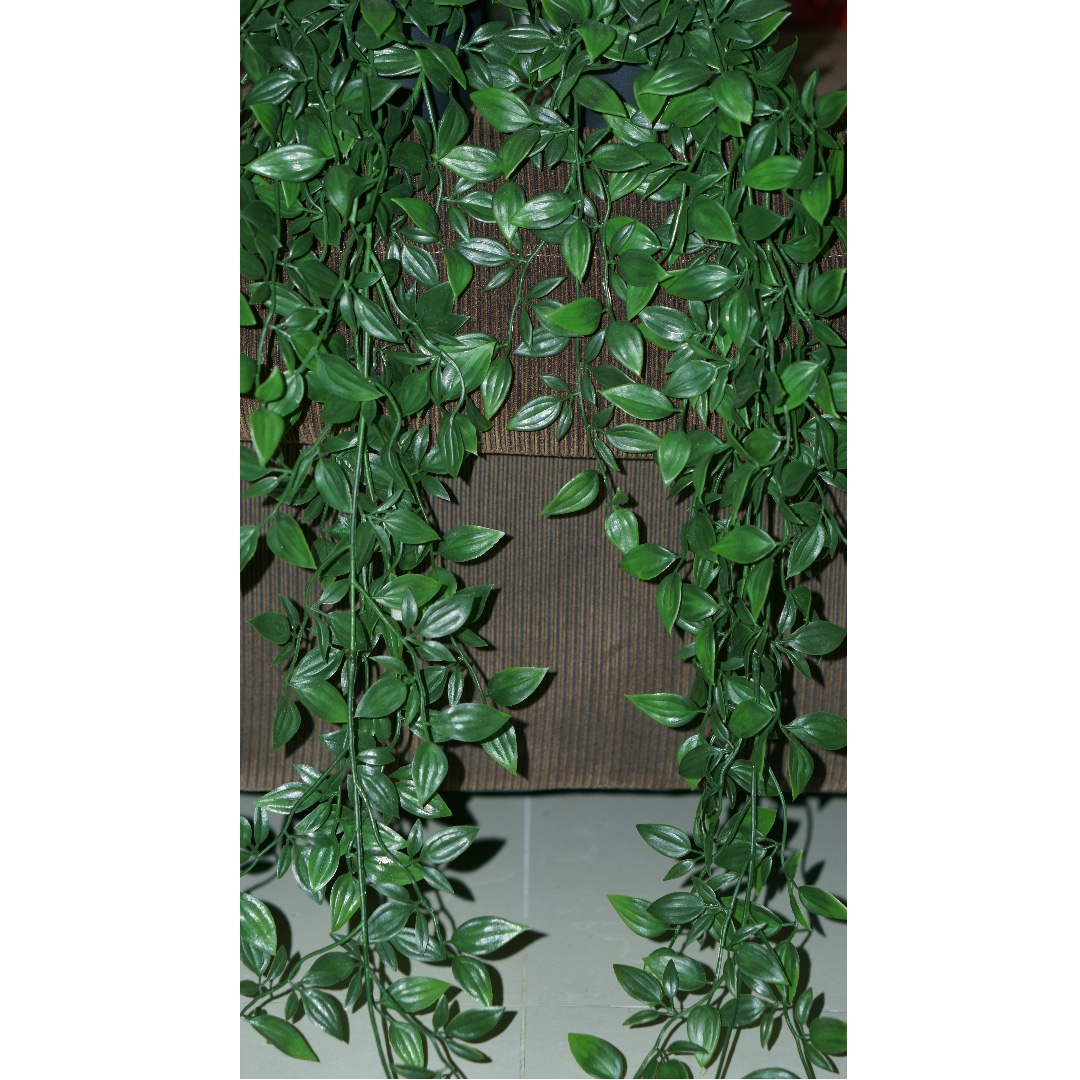 Ikea Artifical Potted Plant Hanging Fejka Everything Else On Carousell