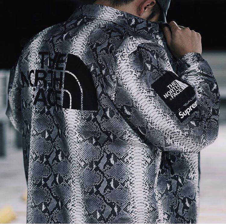 日本 Supreme®/The North Face® Snakeskin - ジャケット/アウター