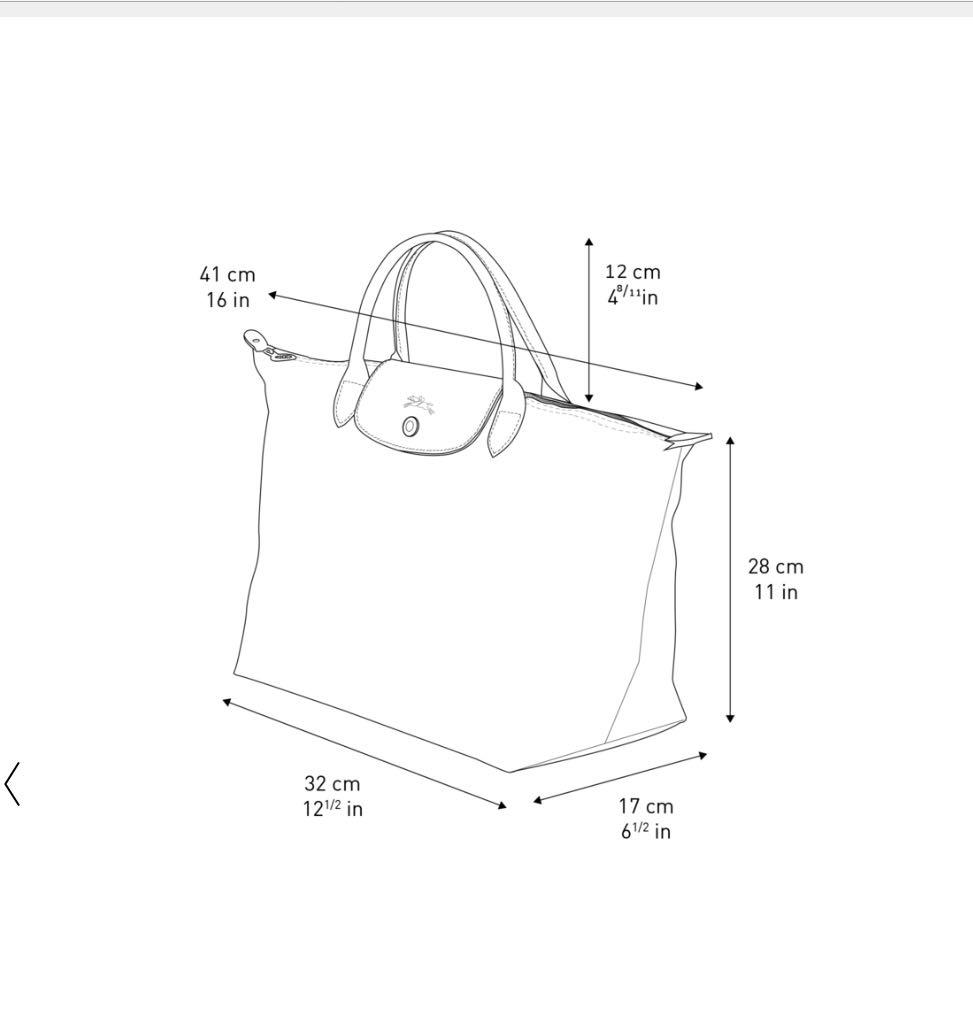 Longchamp, Luxury, Bags & Wallets on Carousell