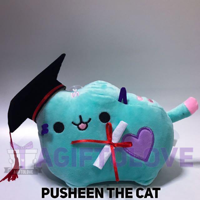 Graduation shop pusheen plush