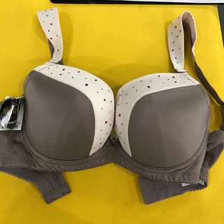 全新玛登玛朵内衣80d