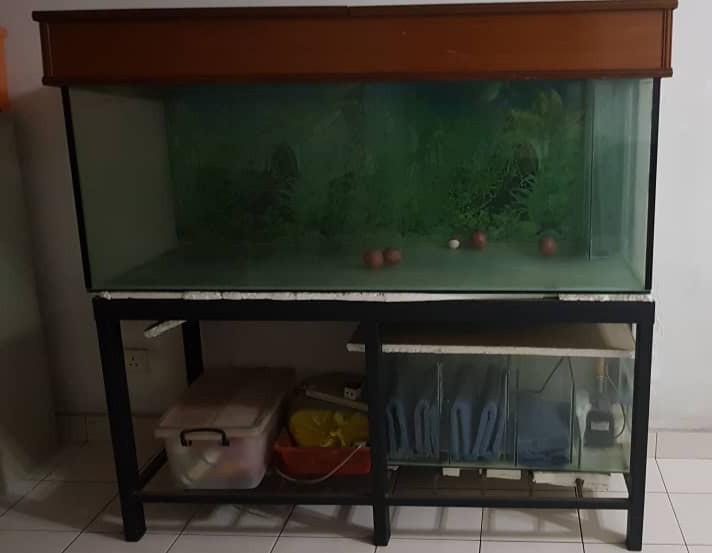 Aquarium Set 6 Kaki Dgn Filter Set Lengkap Pet Supplies Pet Accessories On Carousell