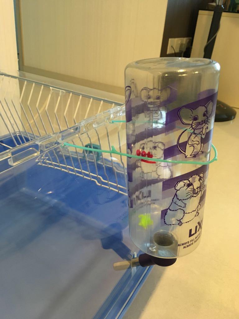 living world zoo zone