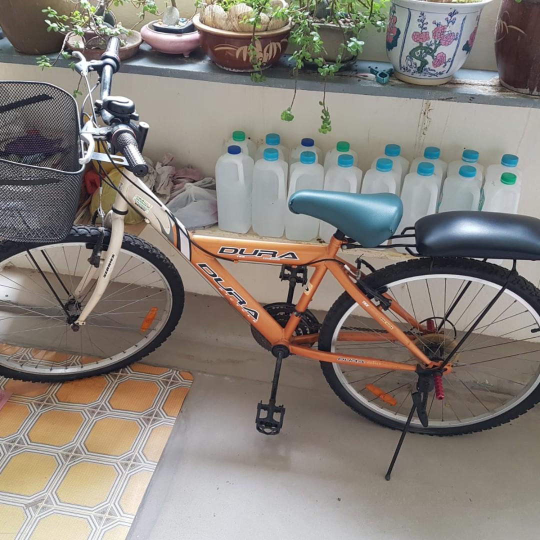 cheap adult bikes