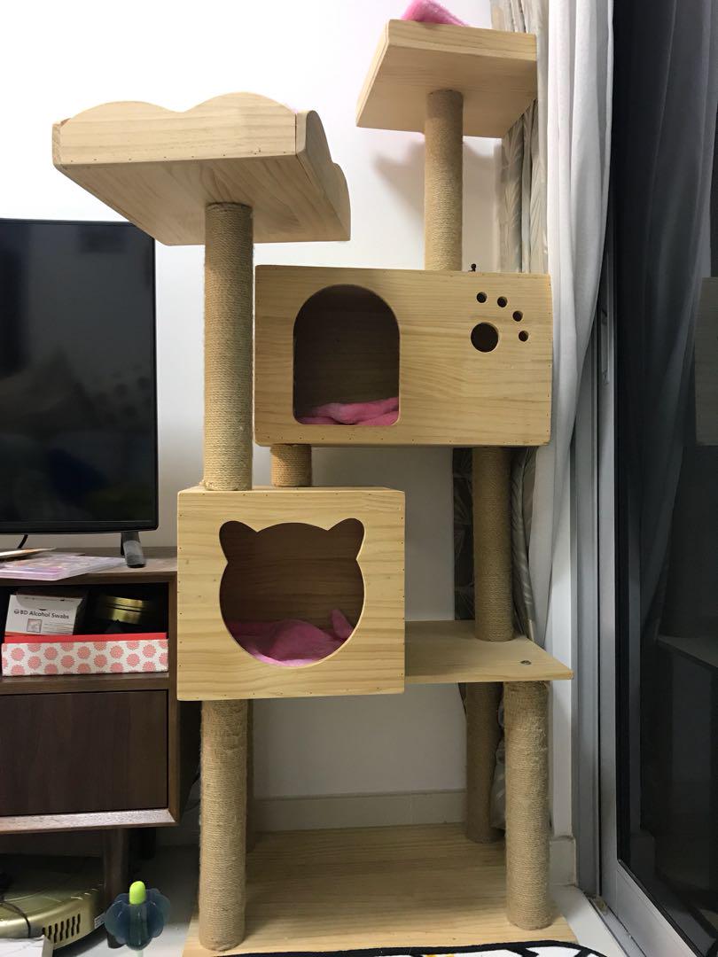Used cat condos sales