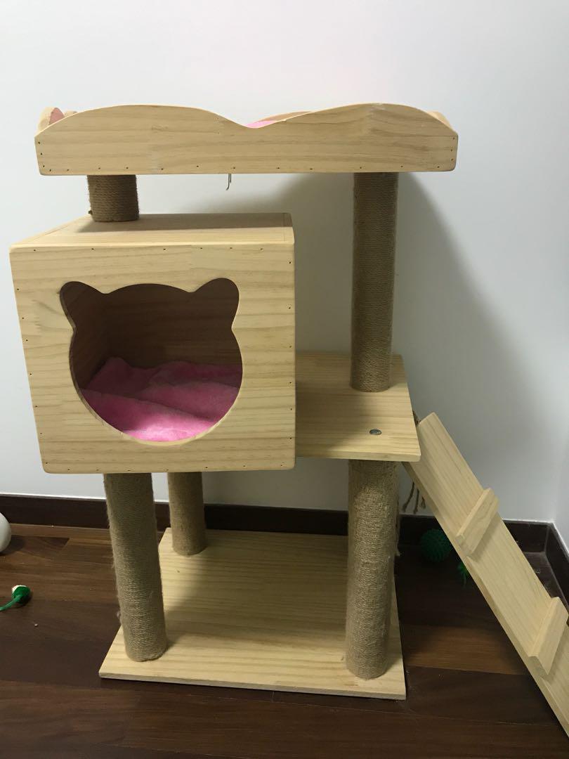 Used cat condos sales