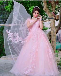 Gorgeous pink princess gown