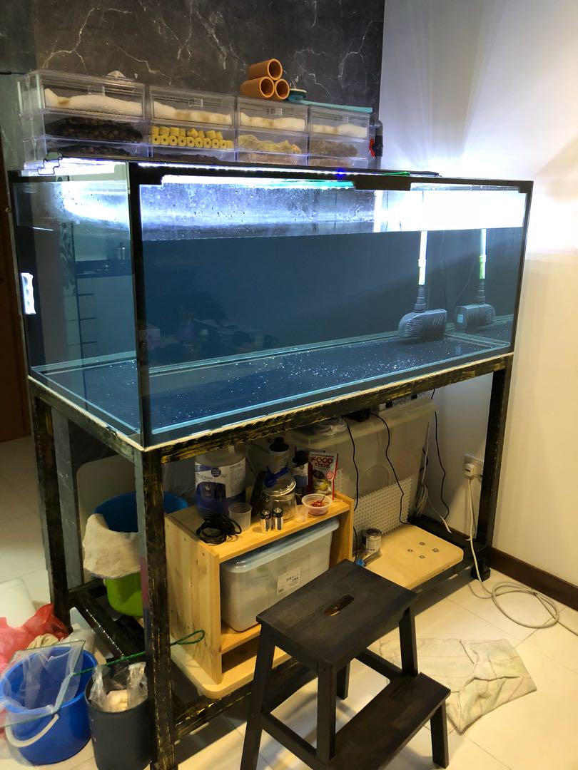 Fish Tank 5ft Pet Supplies For Fish Fish Tanks On Carousell