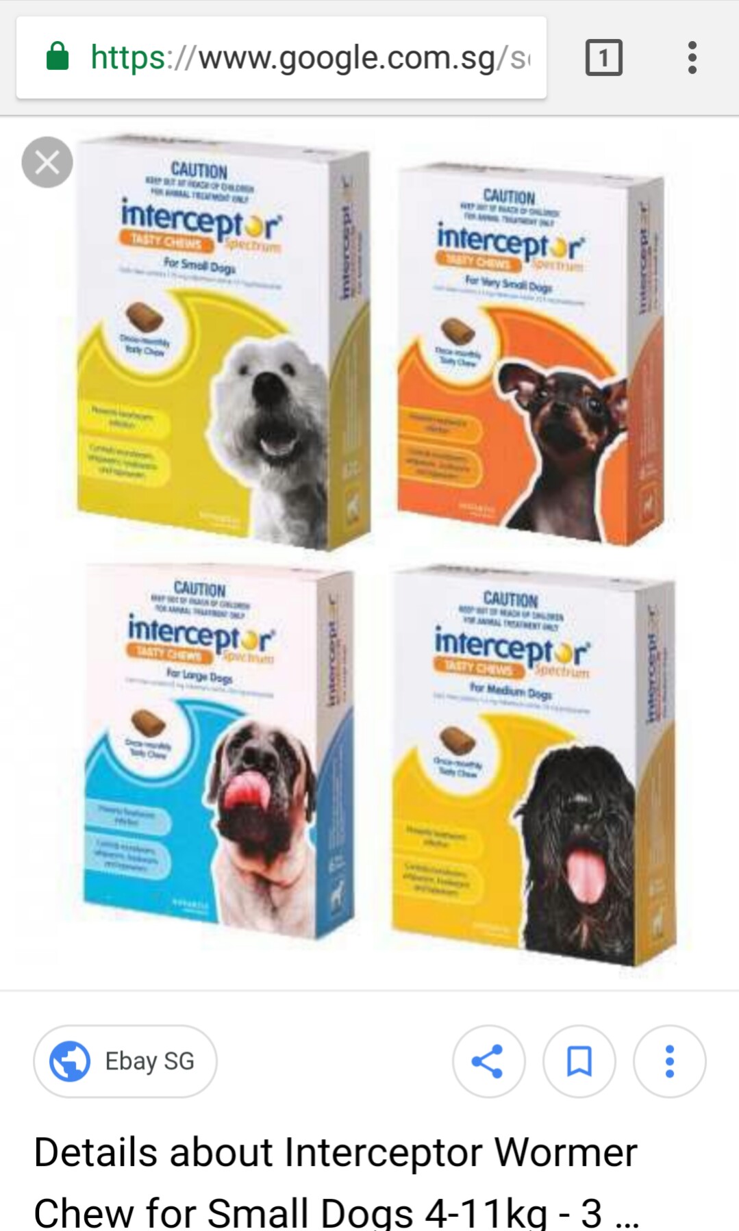 interceptor for dogs