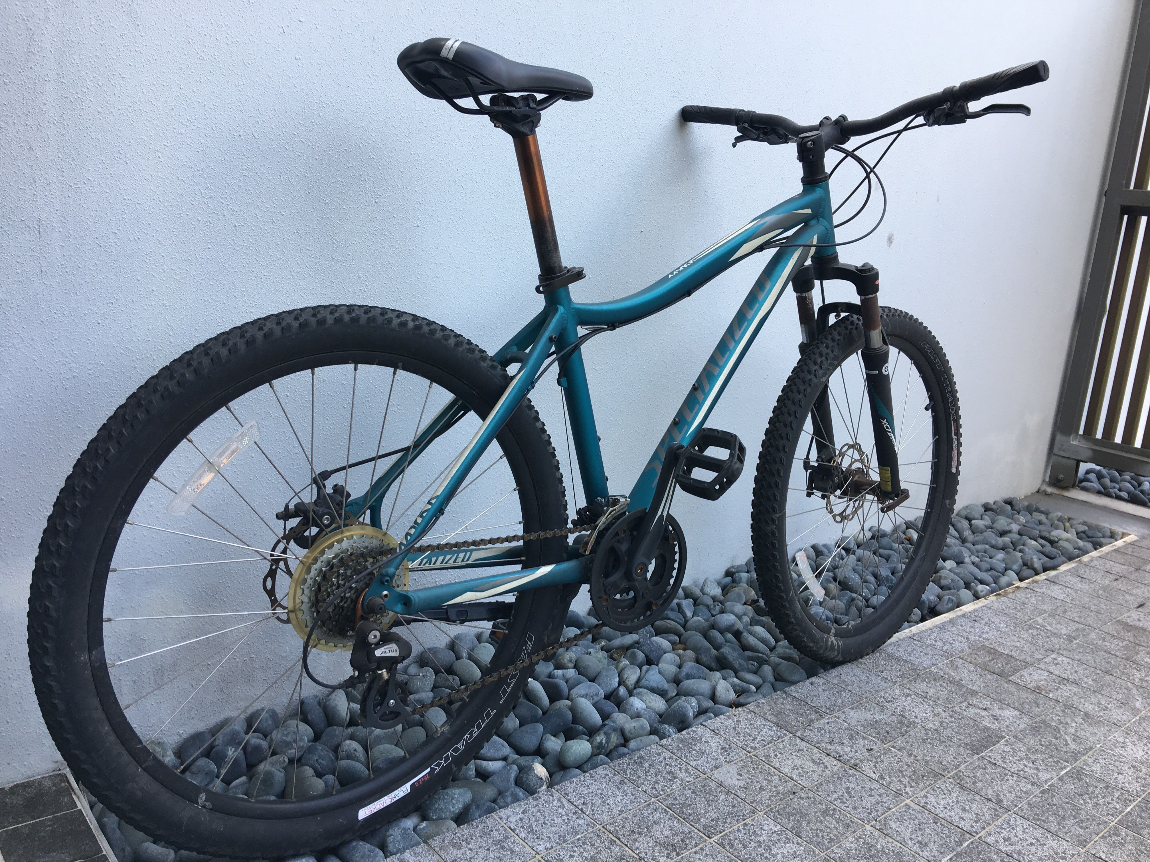 Specialized lady online