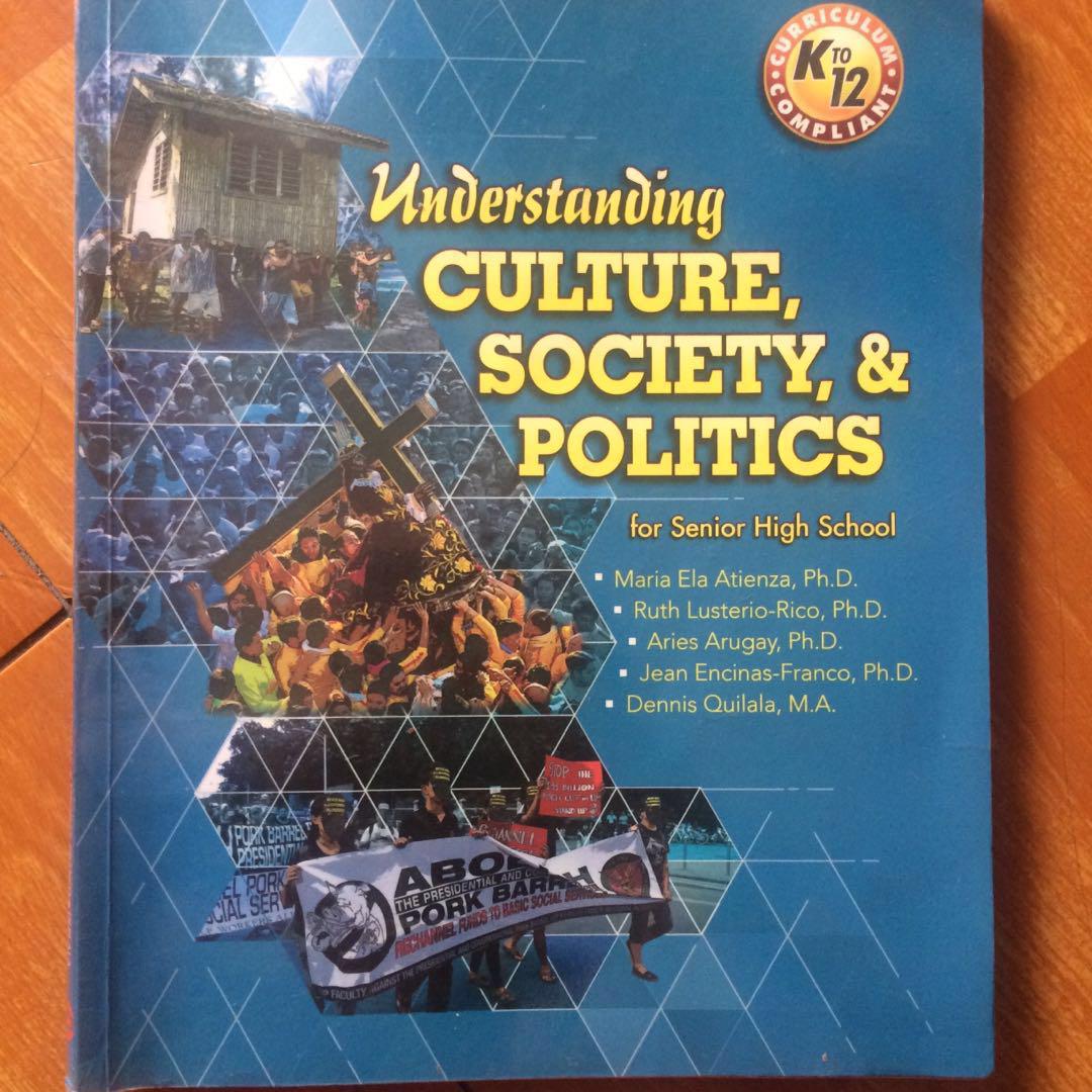 understanding culture, society & politics book , Hobbies & Toys, Books