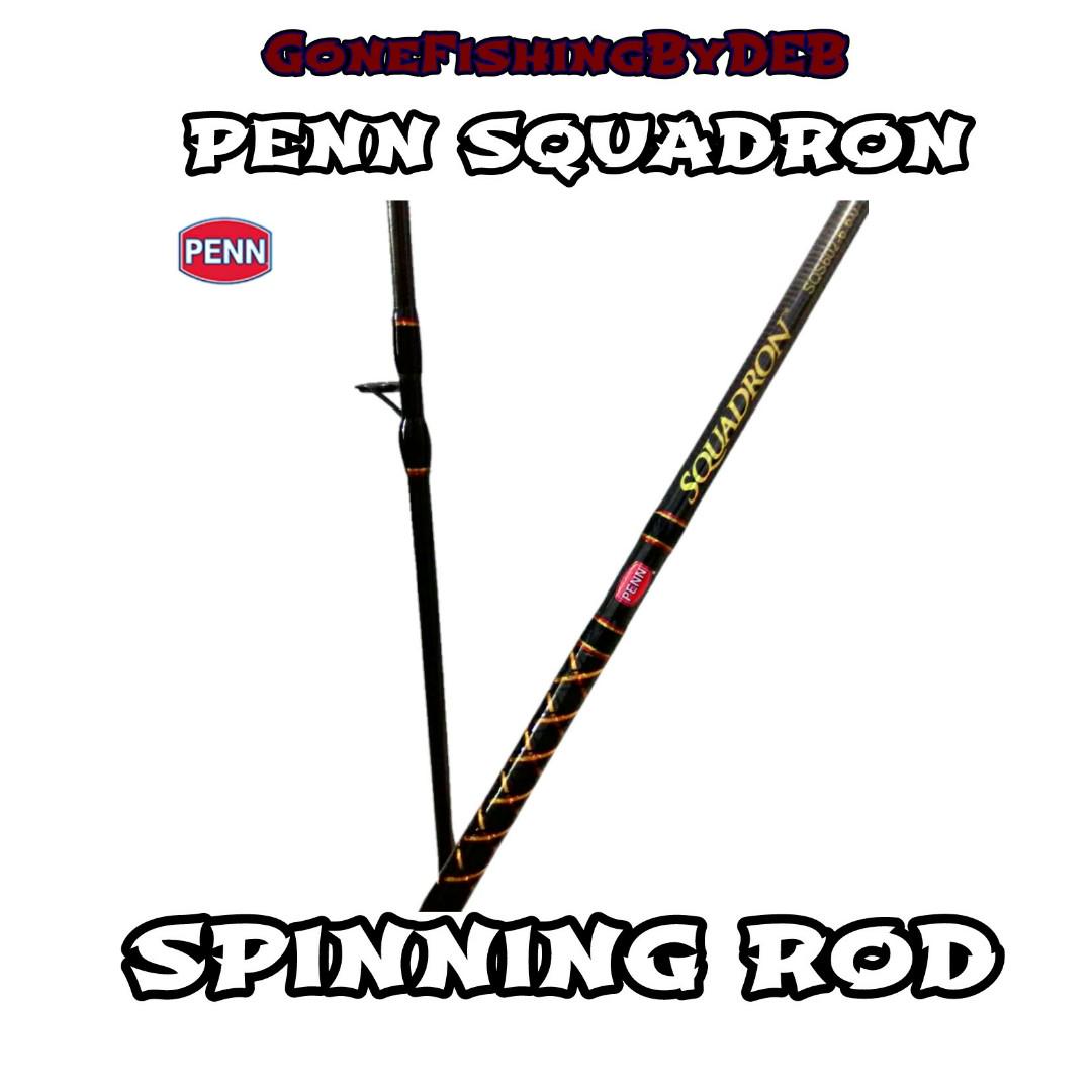 Penn Squadron Fishing Rod, Sports Equipment, Fishing on Carousell