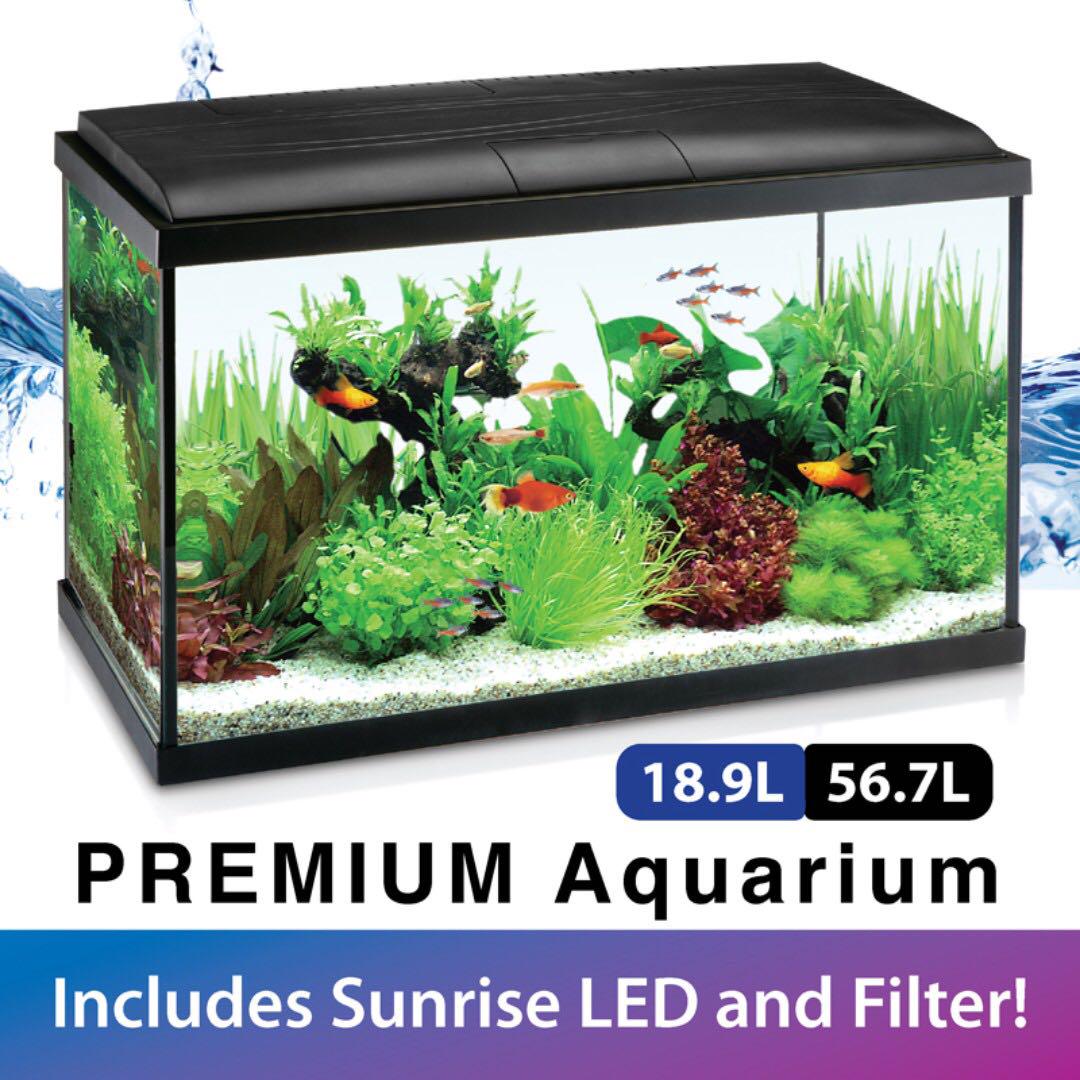 Ripples Premium Aquarium Glass Fish Tank with Filter and LED Lights 18.9L 56.7L Pet Supplies Homes Other Pet Accessories on Carousell