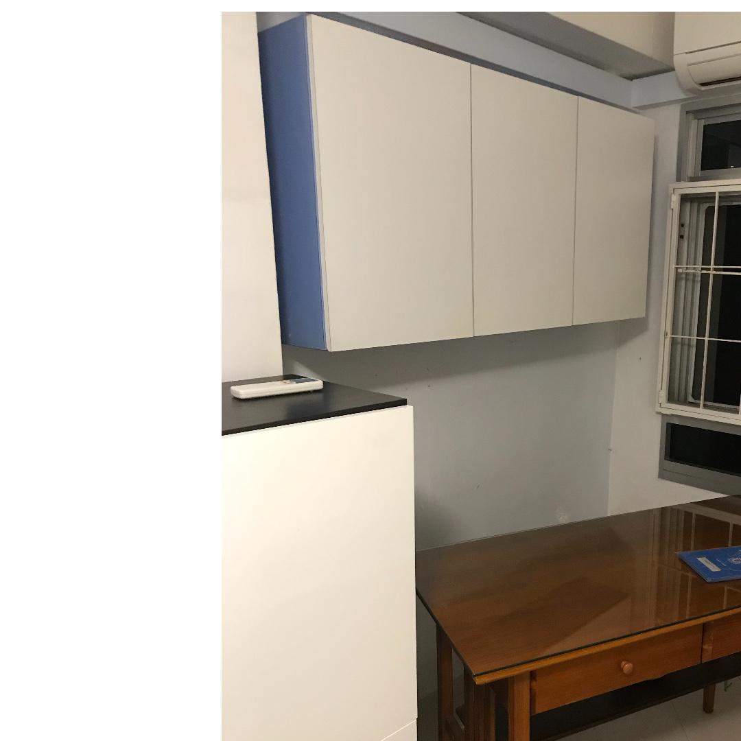 wall-top-hung-slim-cabinet-furniture-home-living-furniture-shelves
