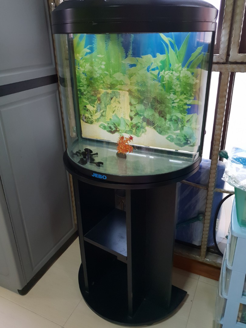 circle fish tank