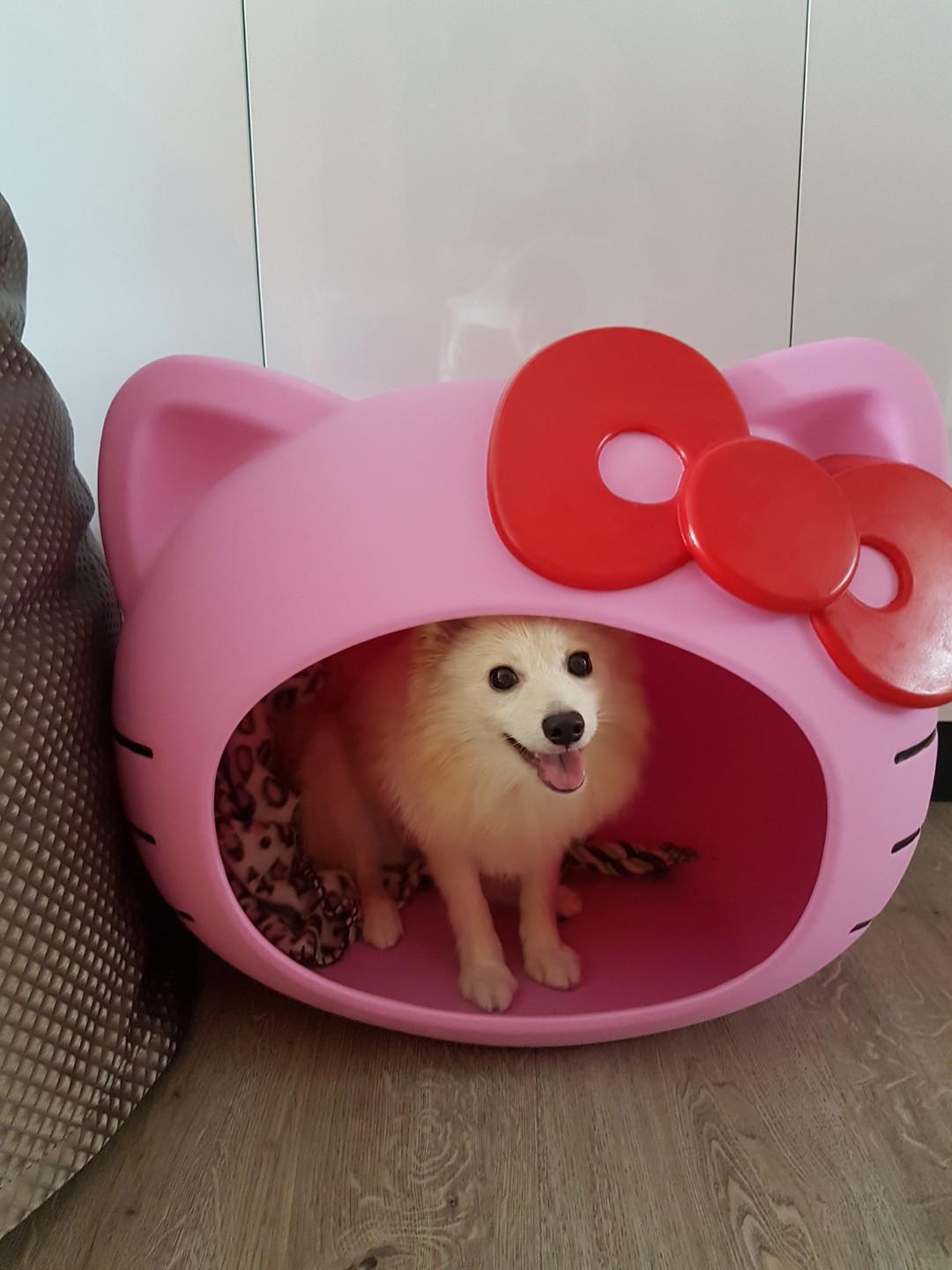Hello kitty store pet bed