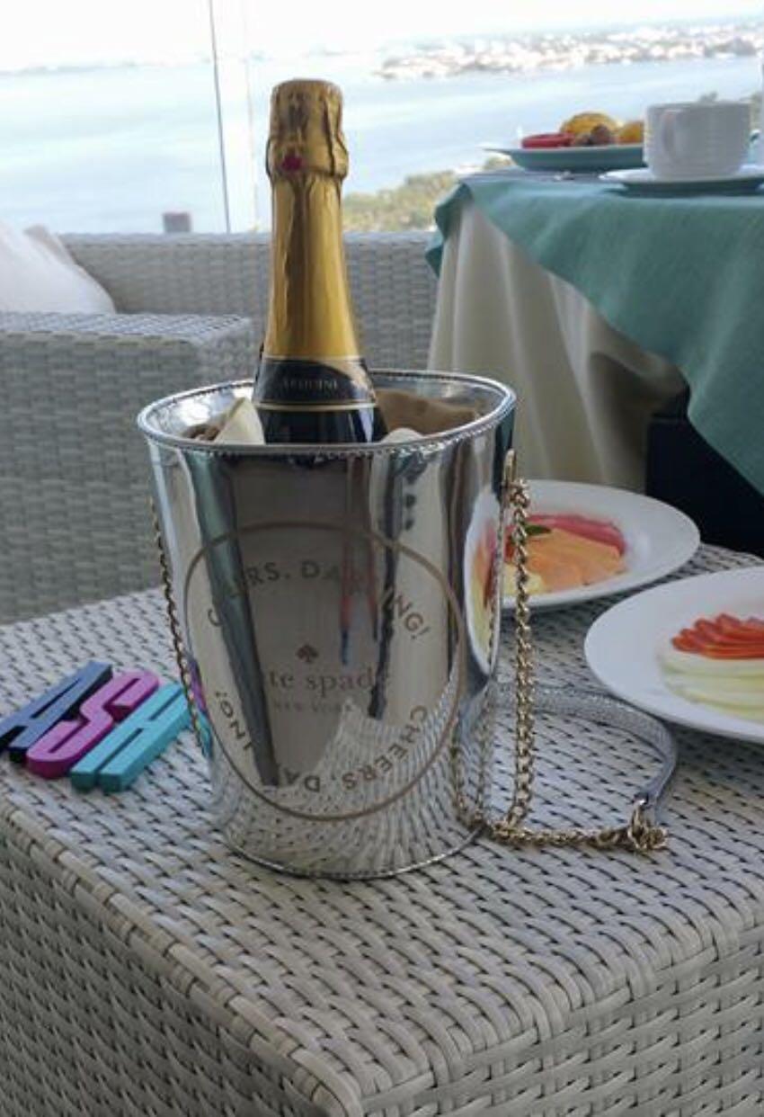 Kate spade champagne bucket bag top