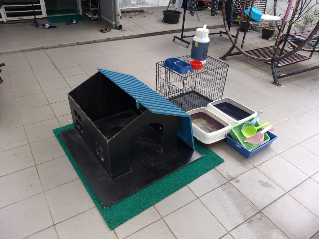 Cage / Rumah kucing, Pet Supplies, Pet Accessories on Carousell