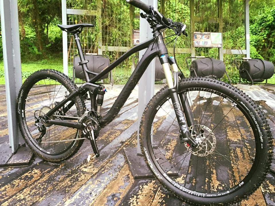 canyon nerve al 8.0 2017