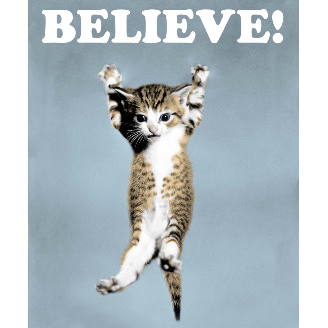 Cat Posters Design Craft Art Prints On Carousell