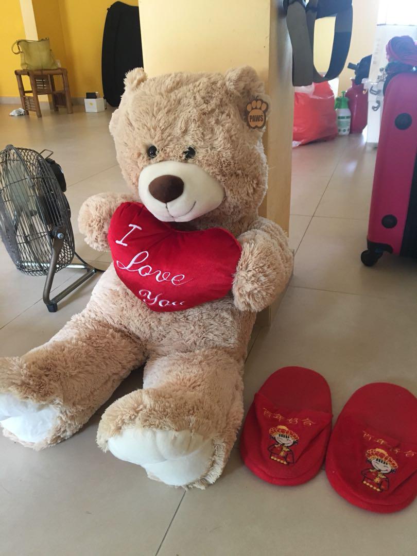 paws teddy