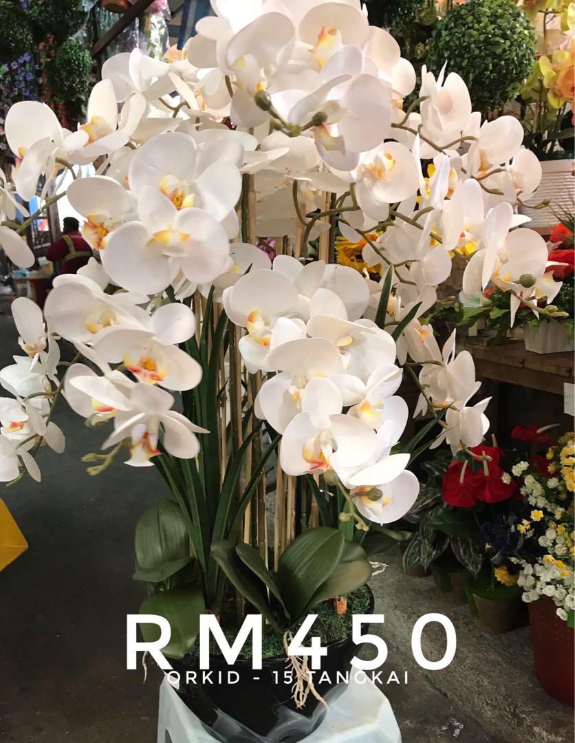 Bunga Orkid Latex Orchid Home Furniture Home Decor On Carousell