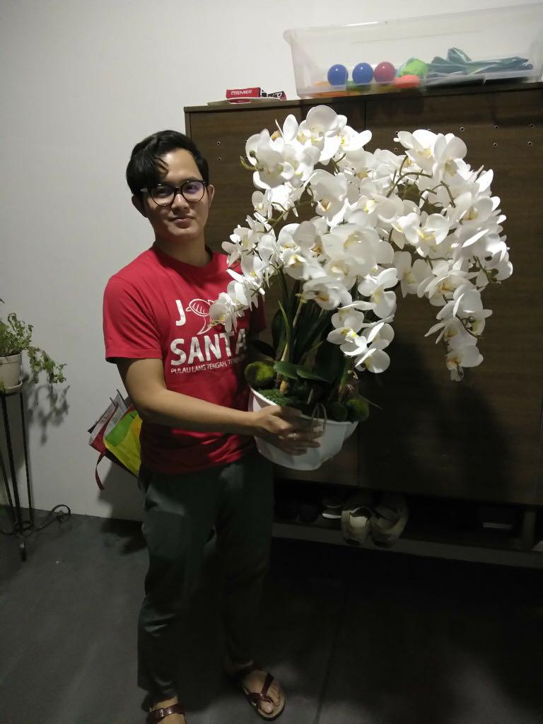 Bunga orkid ( Latex Orchid), Furniture & Home Living, Home Decor